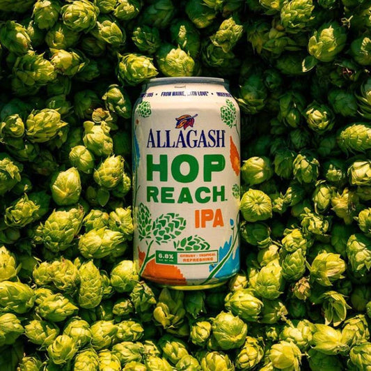 Allagash Brewing Company Hop Reach IPA (355ml) / ホップリーチ【10/24出荷】