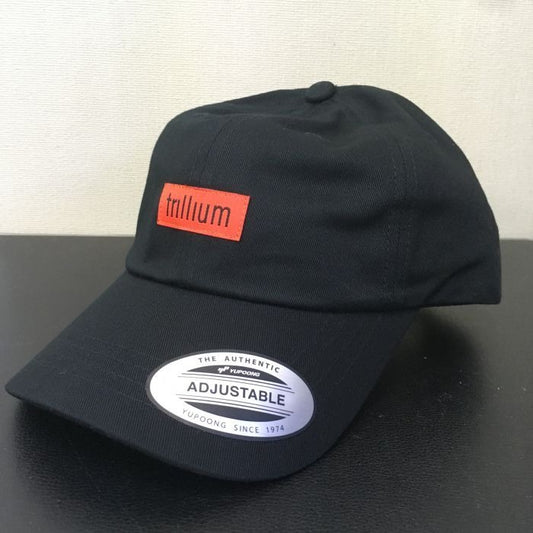 Trillium Trucker Hat - Black